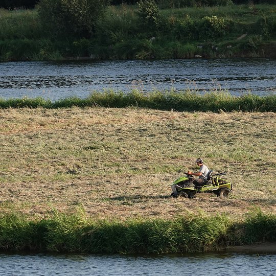 Tvarkymo darbai