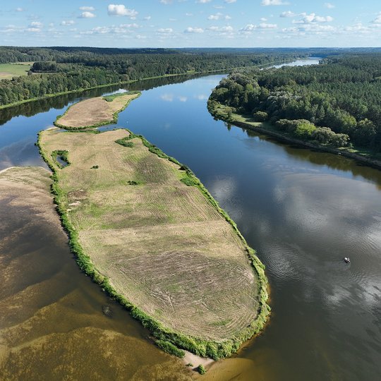 Sutvarkytos salos
