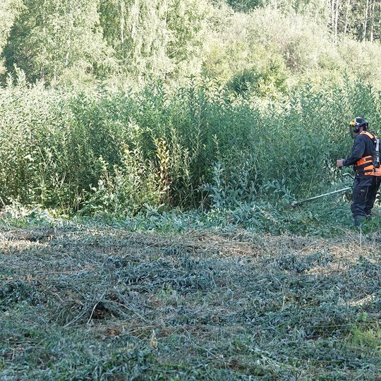 Iliustracija