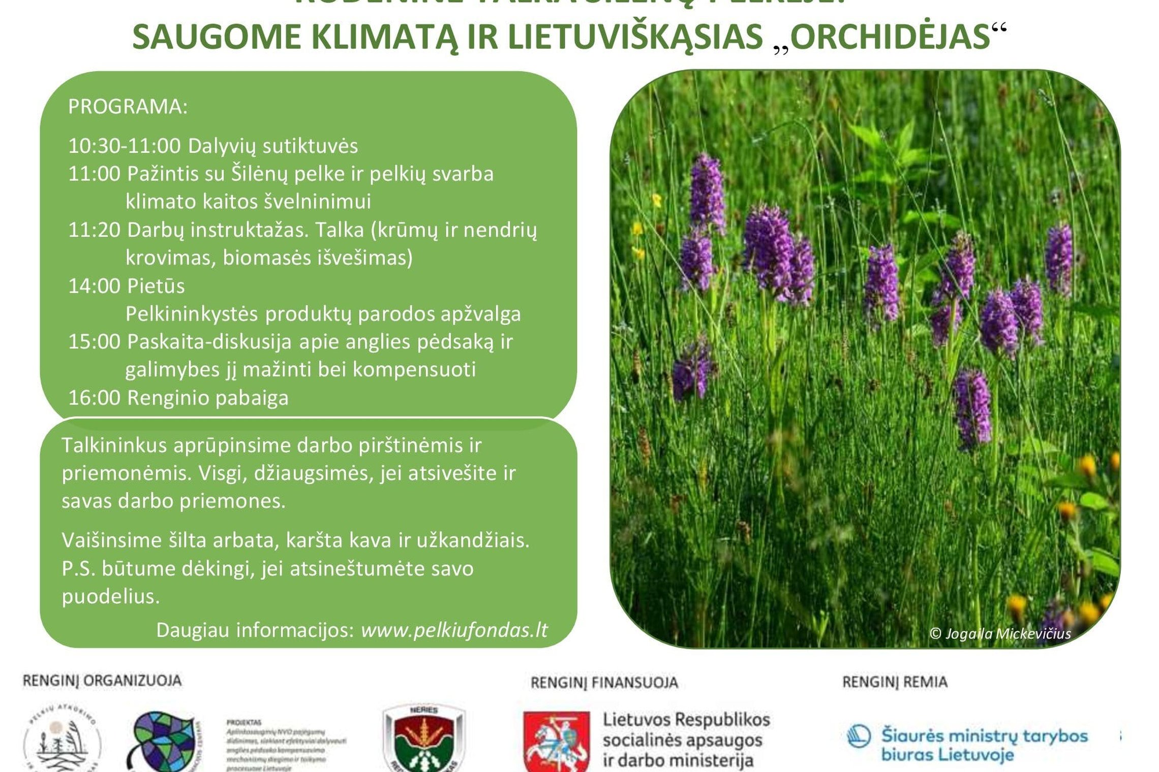 Iliustracija