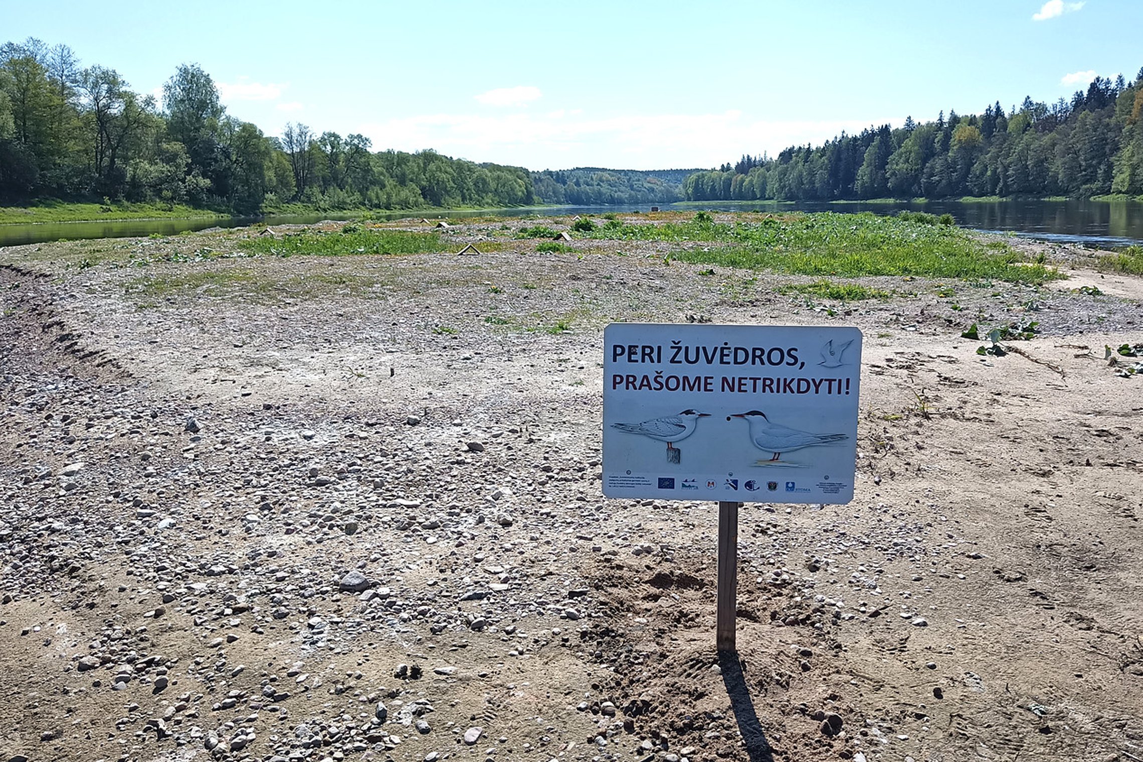 Iliustracija