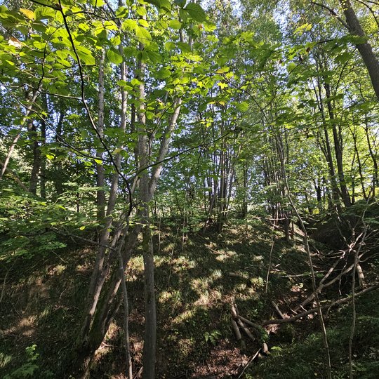 Iliustracija