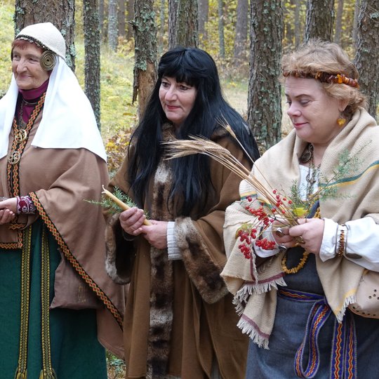 Iliustracija