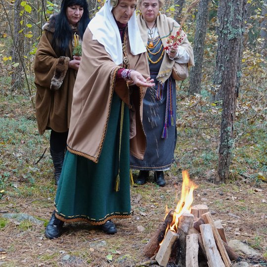 Iliustracija