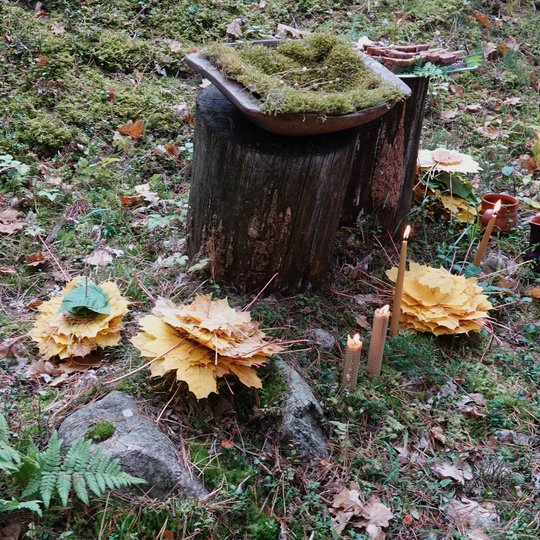 Iliustracija