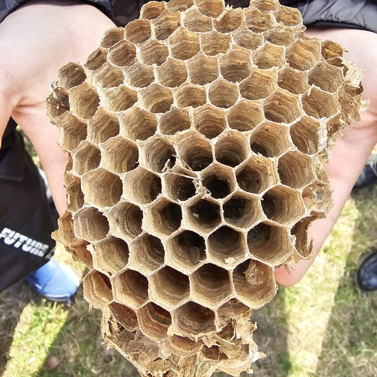 Iliustracija