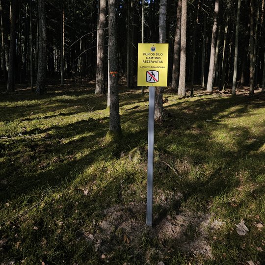 Iliustracija