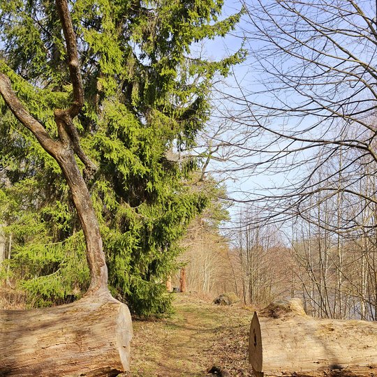 Iliustracija