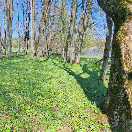 Iliustracija