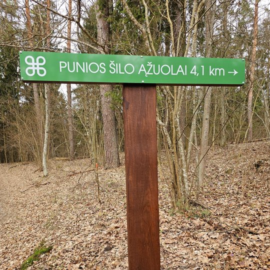 Iliustracija