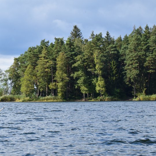 Iliustracija