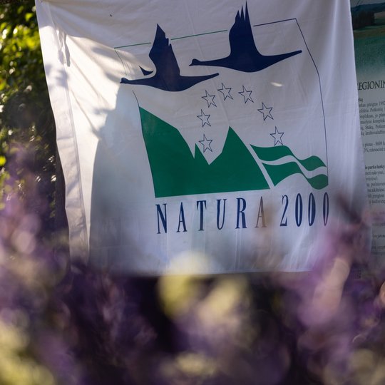 Iliustracija
