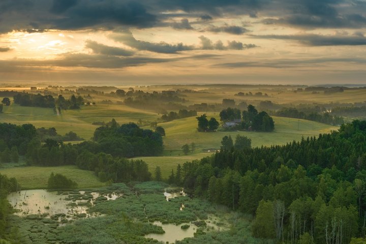 Mariaus Semaškos nuotrauka