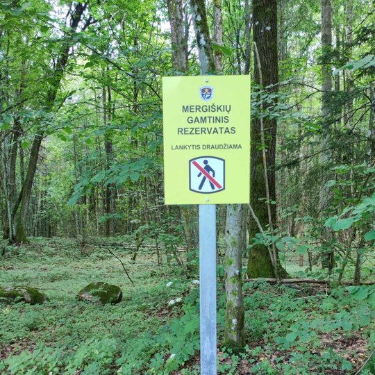 Iliustracija