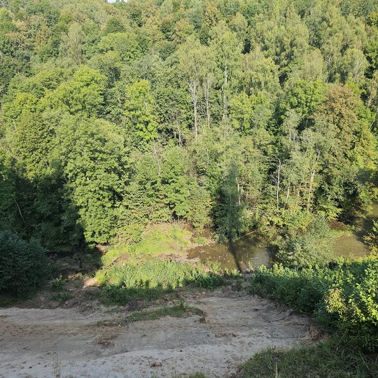 Iliustracija