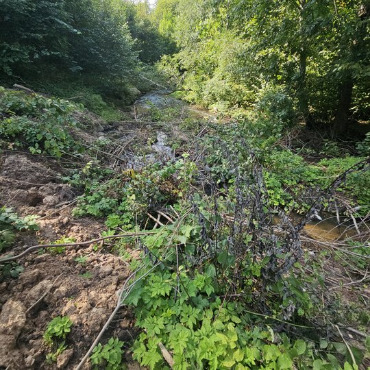 Iliustracija