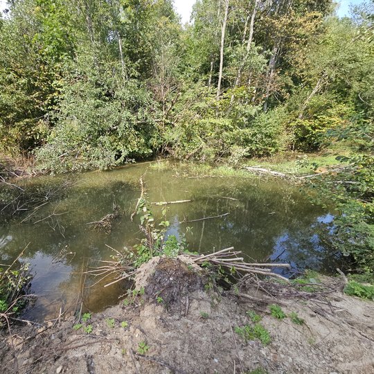 Iliustracija