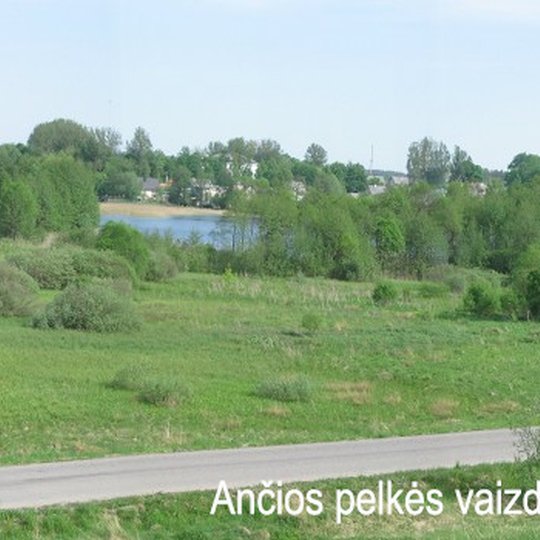 Iliustracija