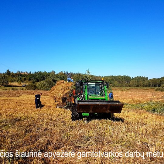 Iliustracija