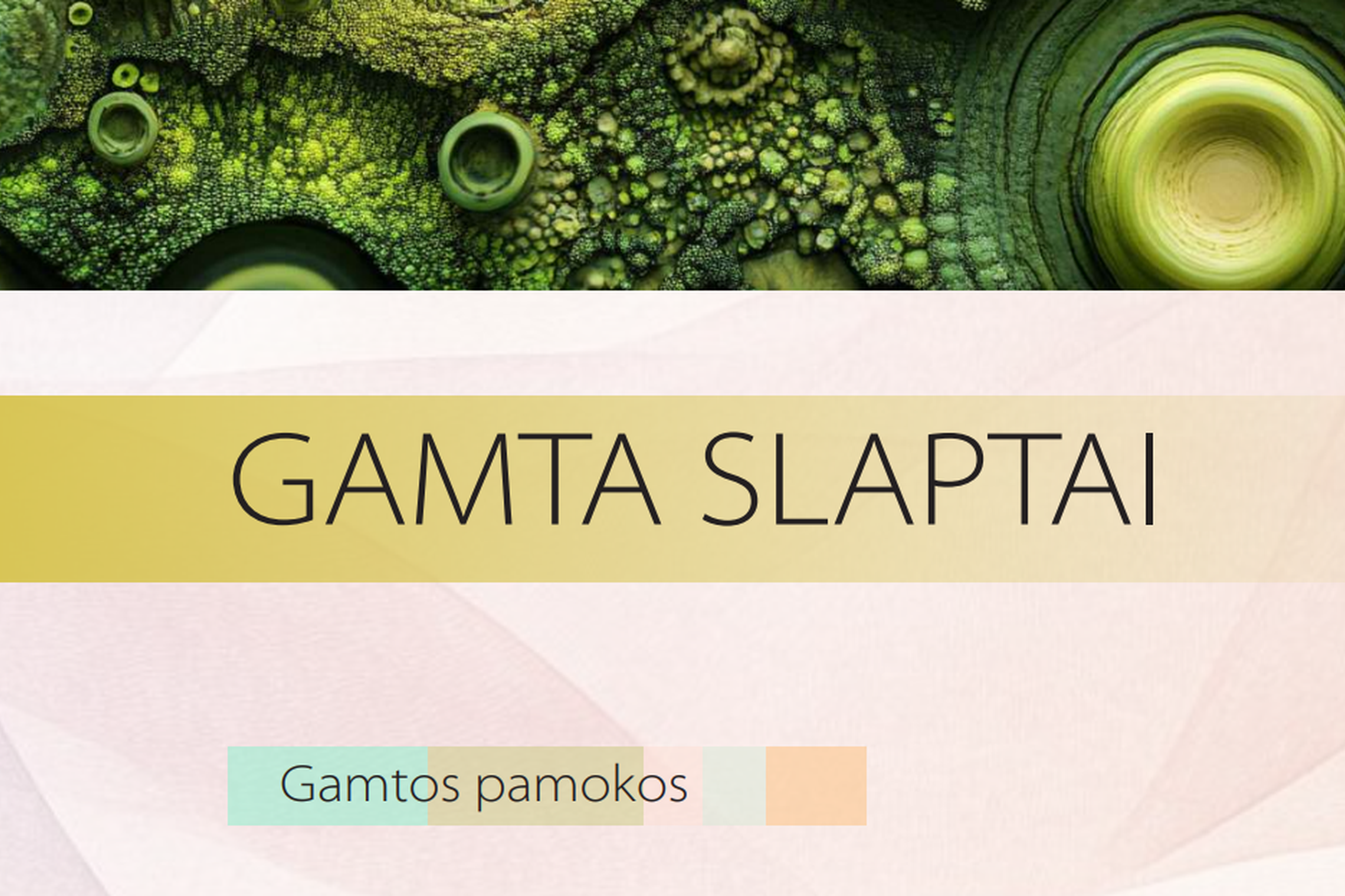 Iliustracija
