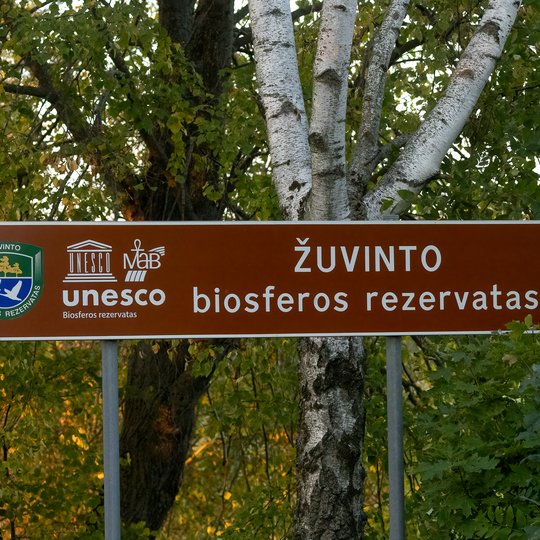 Iliustracija
