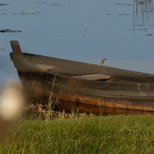 Iliustracija