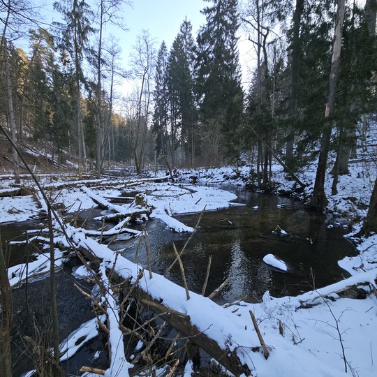 Iliustracija