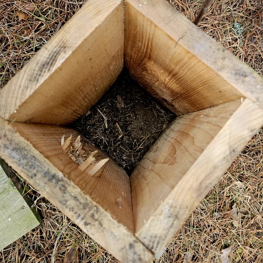 Iliustracija