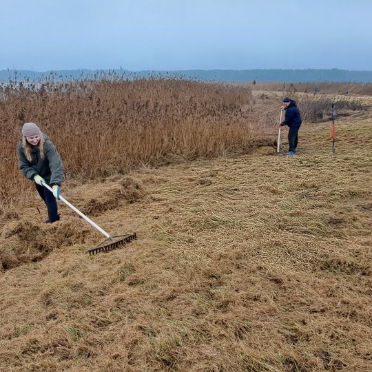 Iliustracija