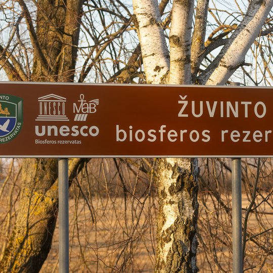 Iliustracija