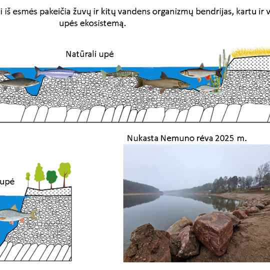 Iliustracija