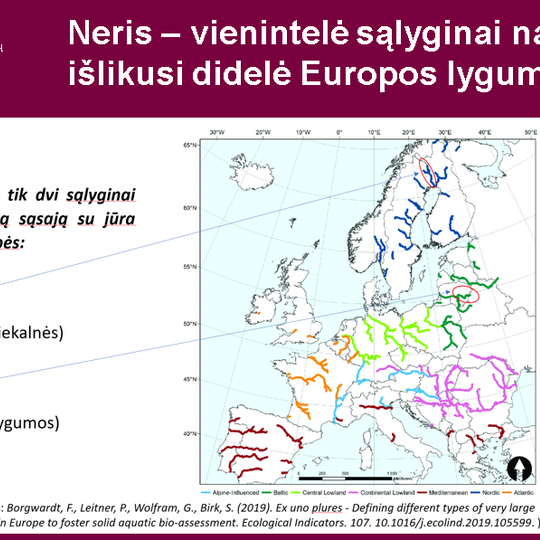 Iliustracija