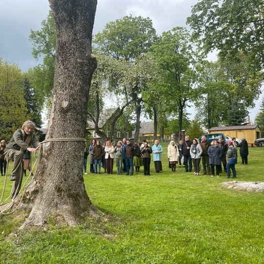 Iliustracija