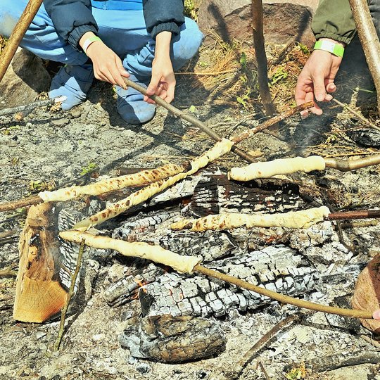 Iliustracija