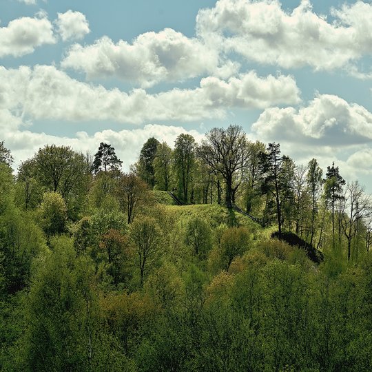 Iliustracija