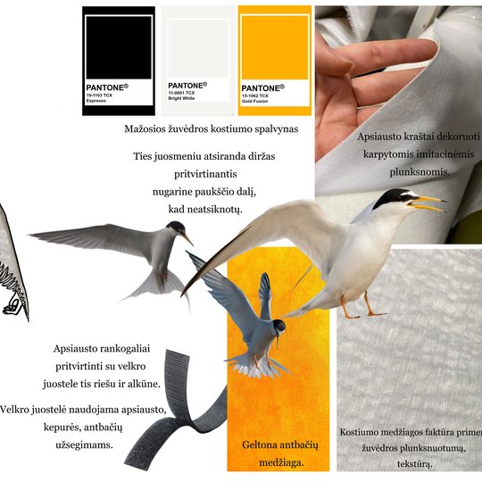 Iliustracija
