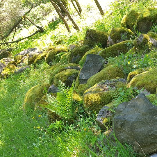 Iliustracija