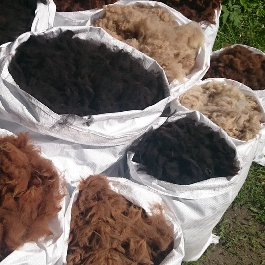 Iliustracija