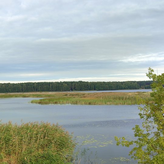 Iliustracija