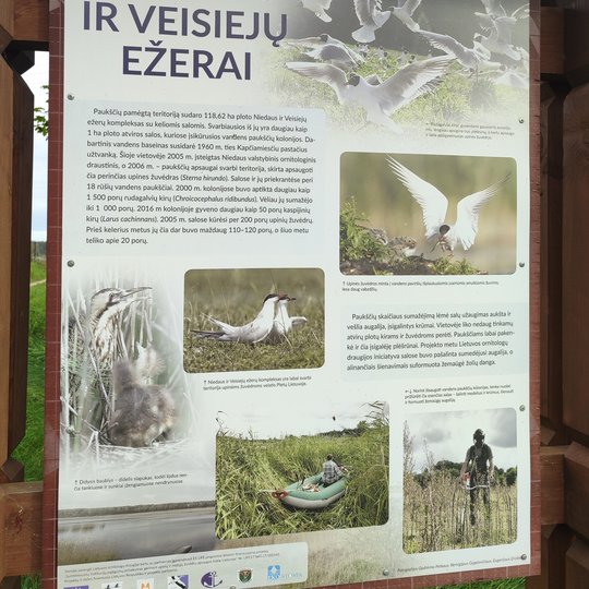 Iliustracija