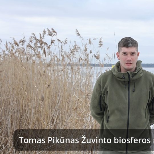 Iliustracija