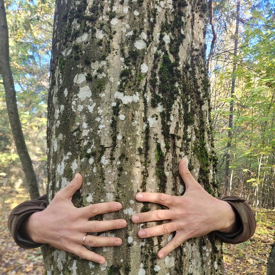 Iliustracija
