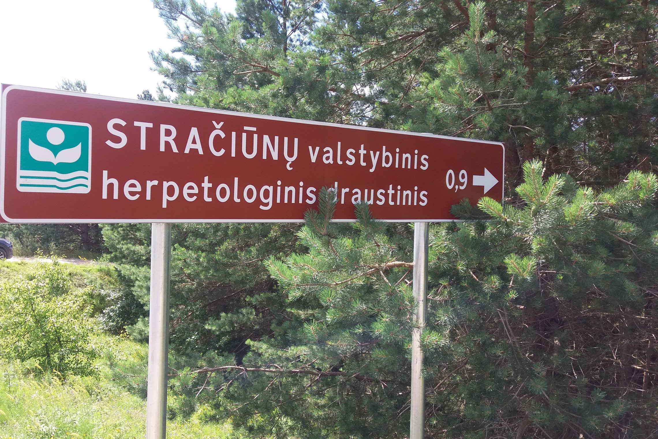 Iliustracija