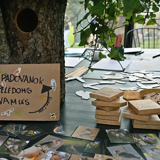 Iliustracija