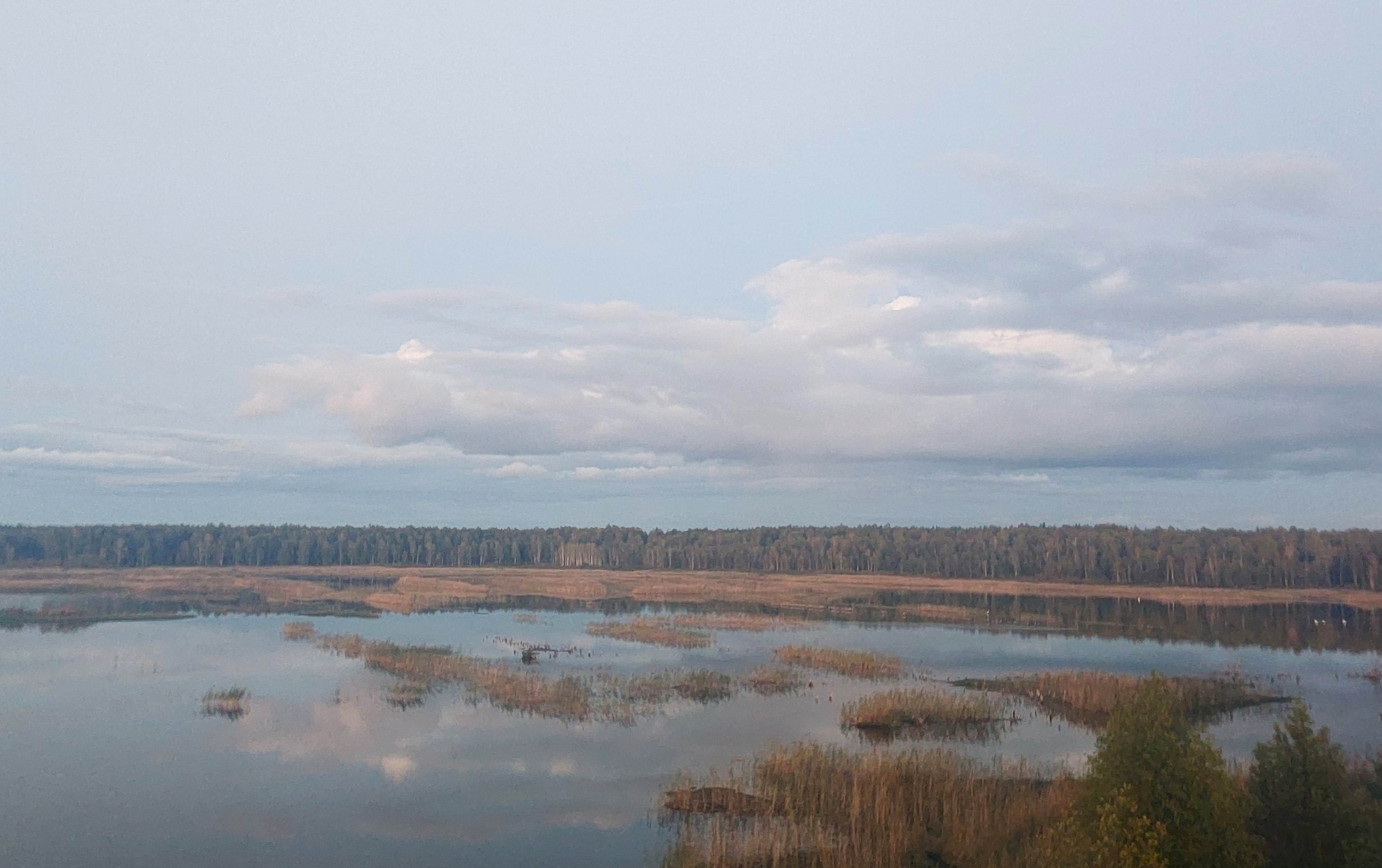 20231009_190624.jpg