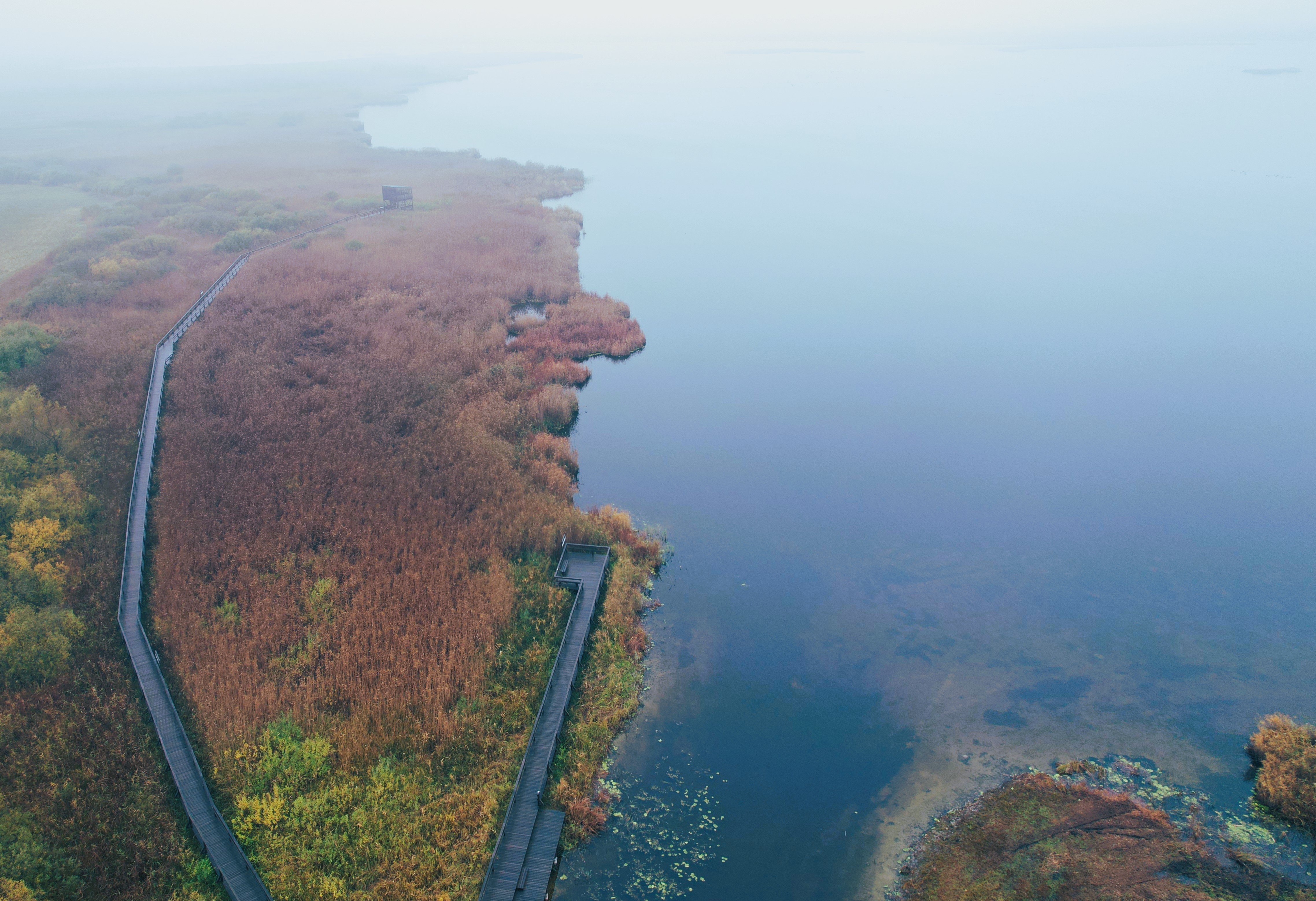 DJI_0971.JPG