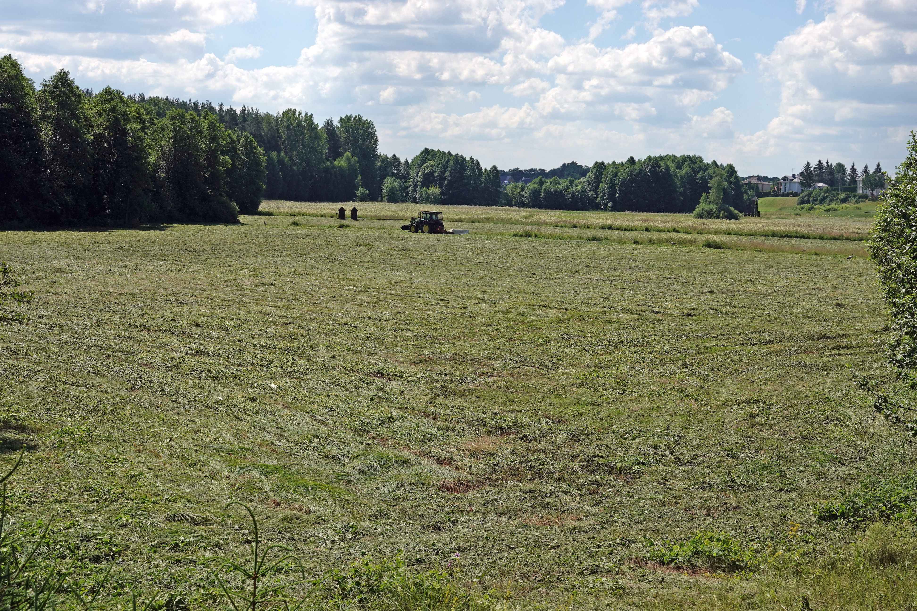 Prieš gamtotvarkos darbus2024 (2).JPG