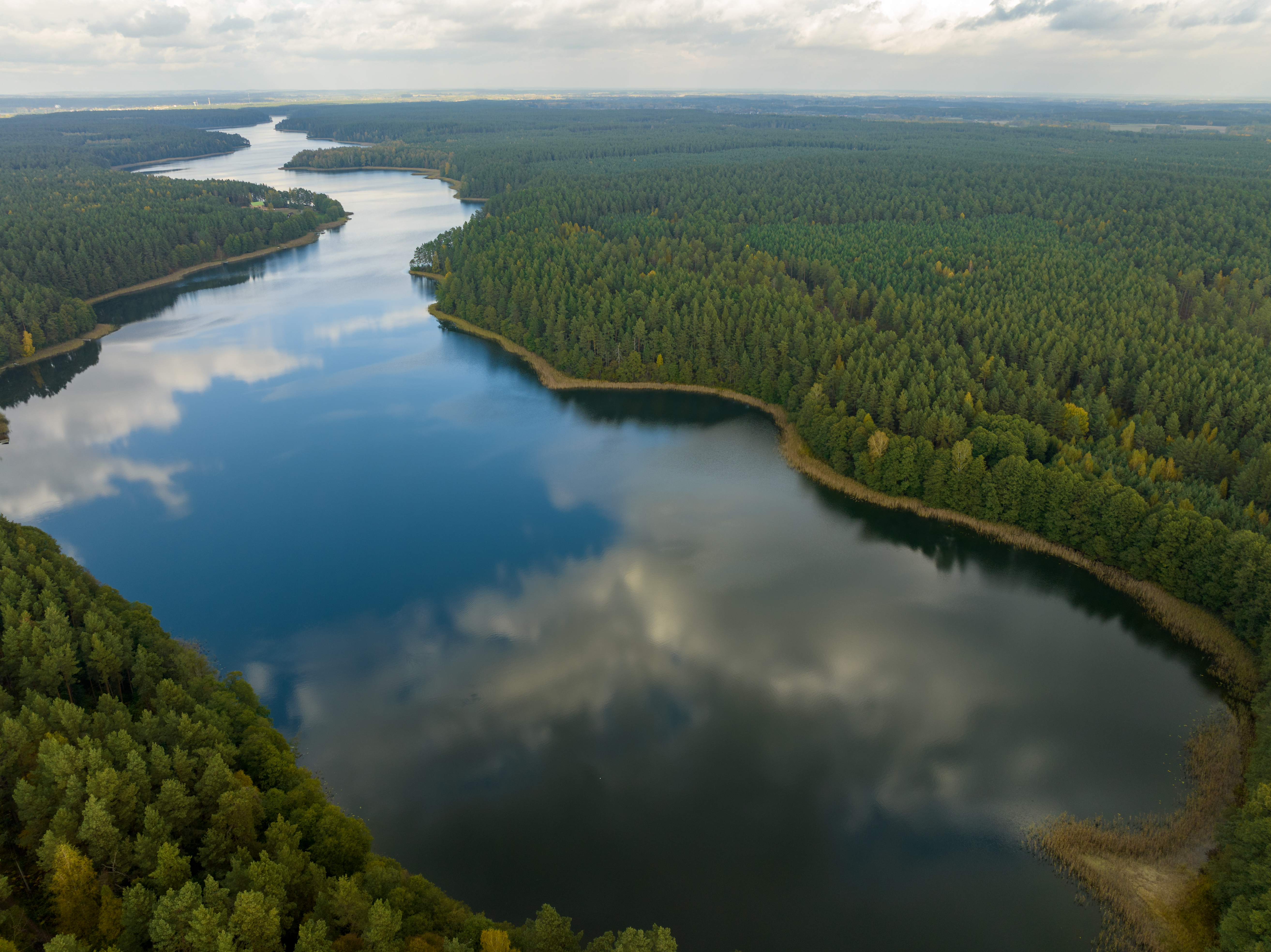 Veisiejų regioninis parkas.jpg