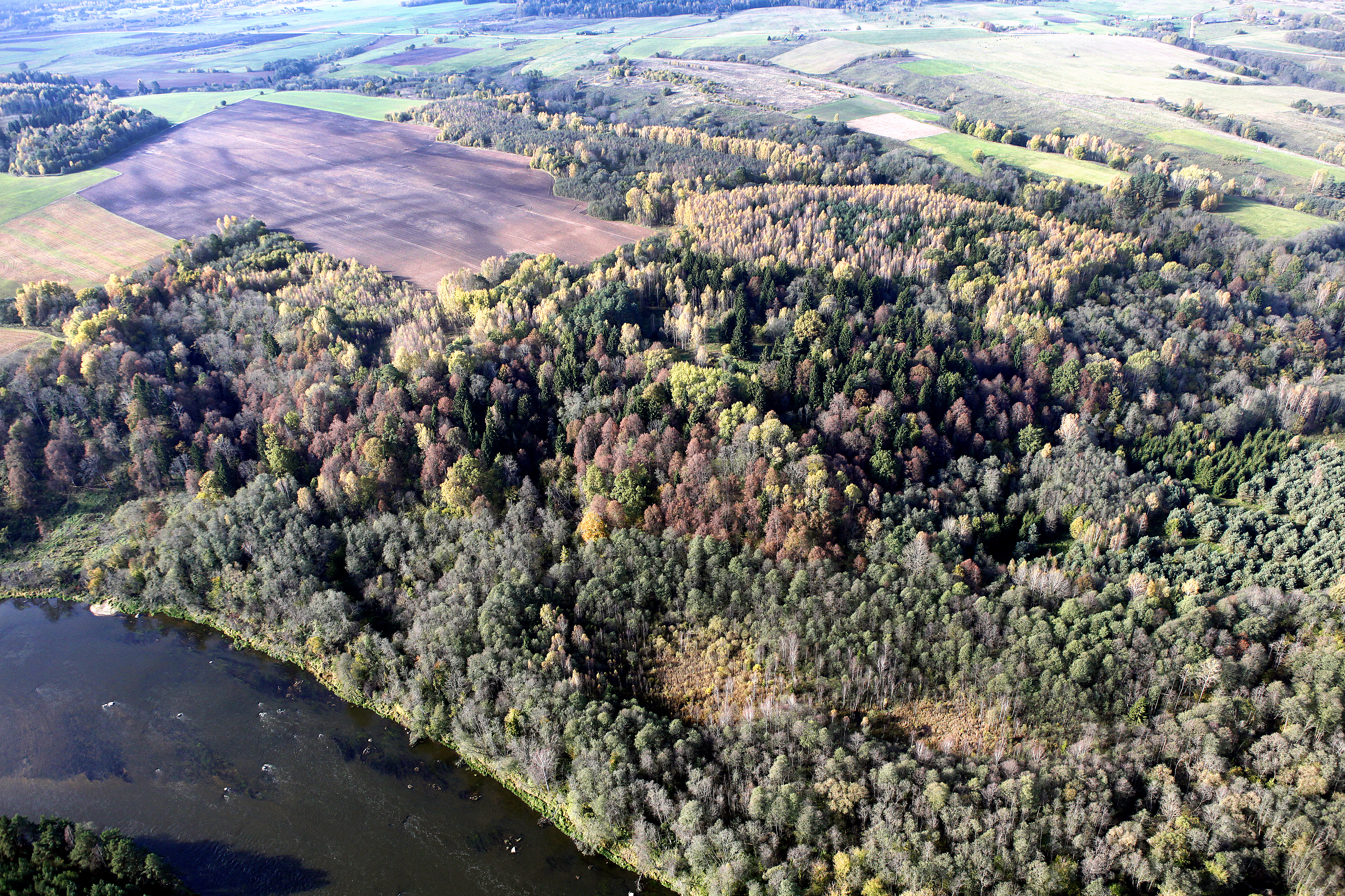 Druskinė rėva žemiau Grabijolų kaimo. foto V. Balkūnas.jpg