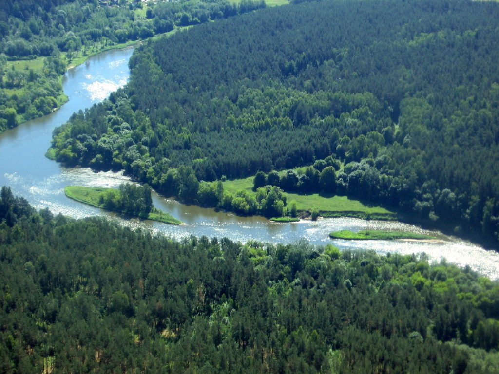 Kiaulės rėva iš paukščio skrydžio.jpg